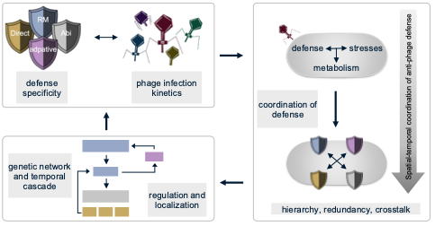 Diagram of the project work packages and their links.